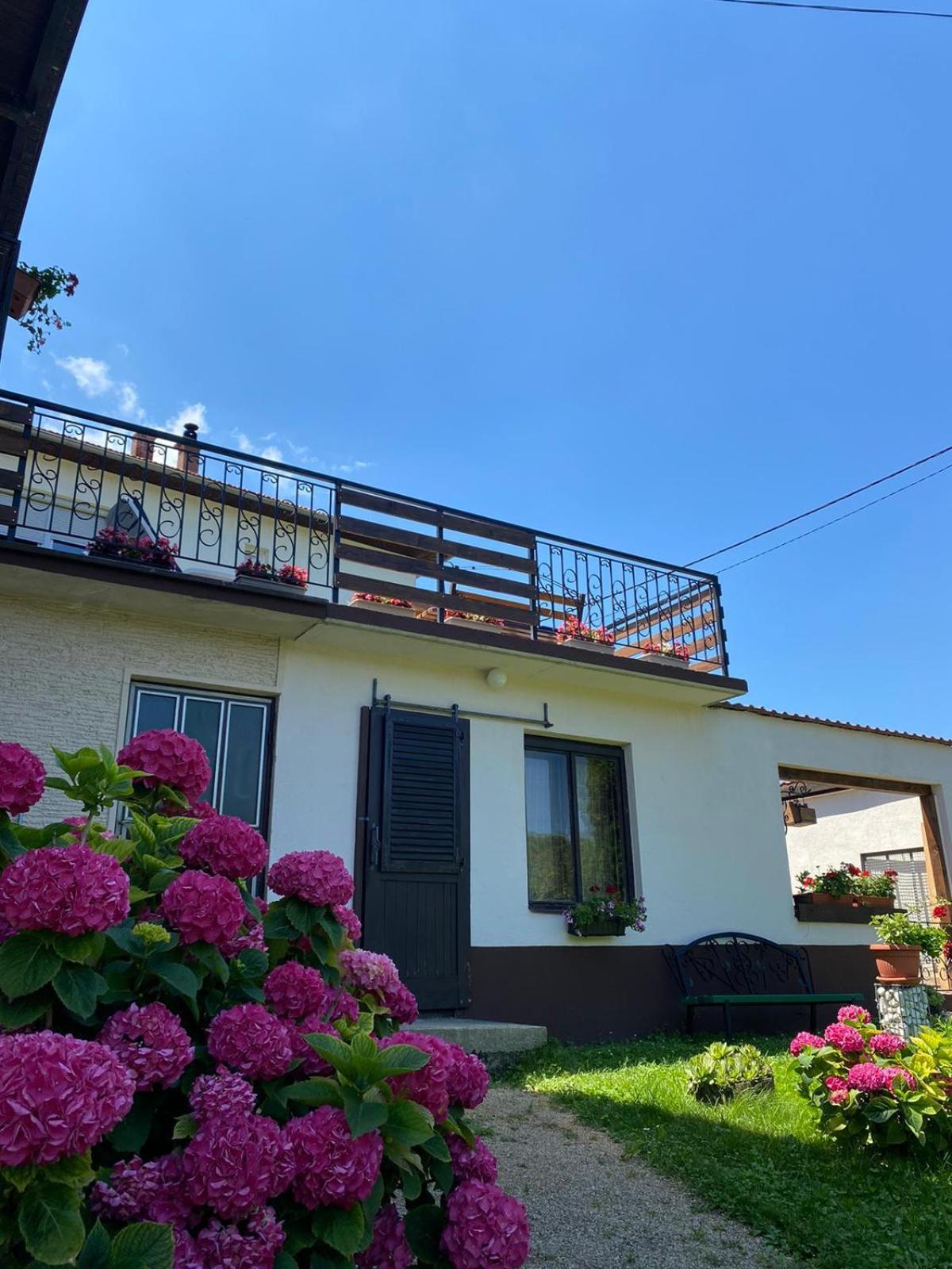 Apartment Panorama *